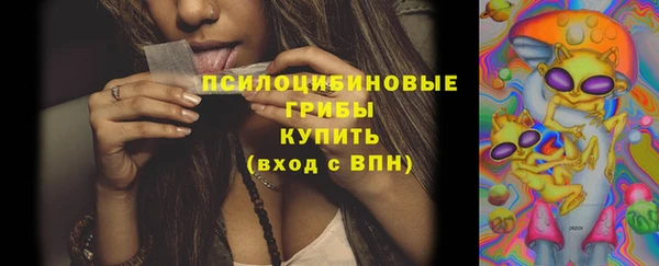 МДПВ Протвино