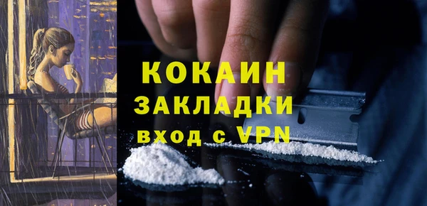 шишки Дмитровск